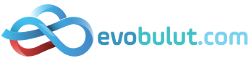 Evobulut B2B Logo